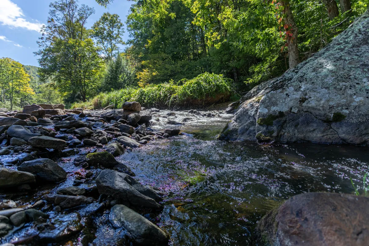 A peaceful riverside setting features smooth rocks, lush greenery, and gently flowing water. The natural landscape invites fishing, nature walks, and moments of quiet reflection, with sunlight sparkling on the water’s surface.