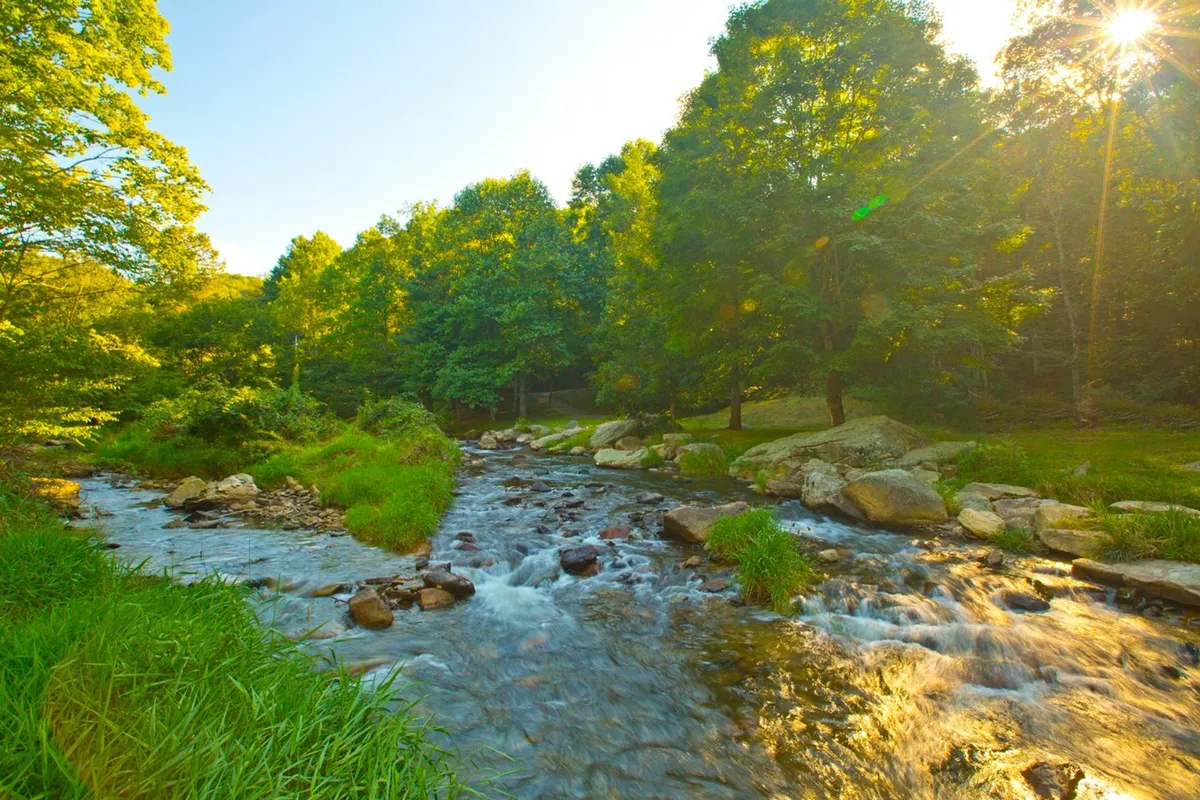 A tranquil view of the flowing Elk River bordered by lush green trees and a rocky riverbank. The scene evokes a sense of peace and natural beauty, inviting visitors to fish, picnic, or simply enjoy nature. The soft light and reflections on the water enhance the atmosphere of relaxation and outdoor enjoyment.