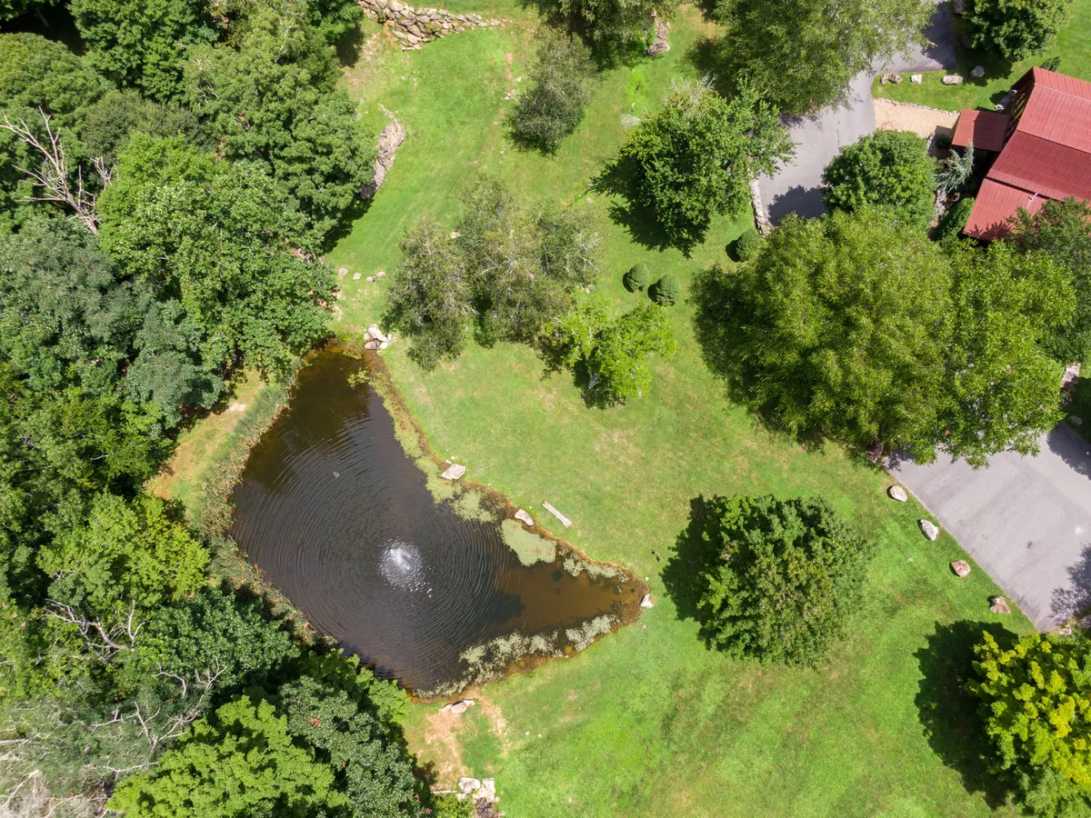 A serene pond surrounded by lush greenery and tall trees, with a red-roofed building visible nearby. The area is calm and inviting, ideal for fishing, nature walks, or bird watching. The composition suggests a family-friendly, peaceful atmosphere.