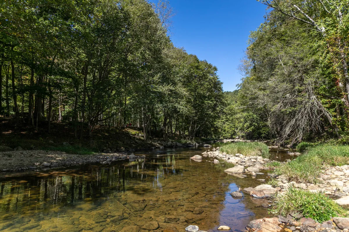 A calm river bordered by lush green trees and smooth stones under a clear blue sky. The natural setting evokes tranquility and offers opportunities for hiking along the riverbanks or enjoying nature-based activities like fishing and picnicking.